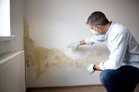  Kirkland, WA Mold Removal Services Pros